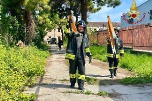 Crollo parziale in una palazzina al Lido di Venezia, quattro operai feriti