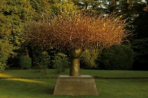 Mestre, Villa Fürstenberg riapre: nuova scultura di Kiefer e un ricco programma 2026