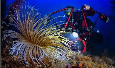 Inaugurazione della mostra di Francesco Turano al Club Sommozzatori Padova