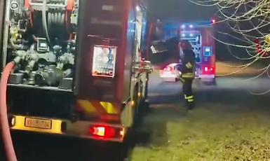 Fiamme nella sera a Vedelago, incendio lambisce un boschetto