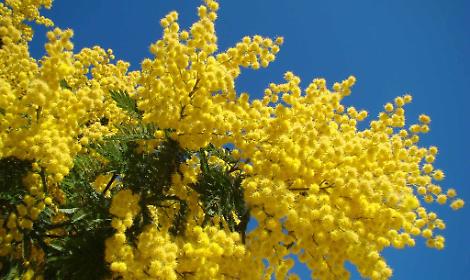 Universit&agrave; di Padova: un &ldquo;8 Marzo diffuso&rdquo; tra cultura, scienza e diritti delle donne