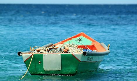 Crisi della pesca in Veneto: istituzioni e categorie a confronto a Palazzo Balbi