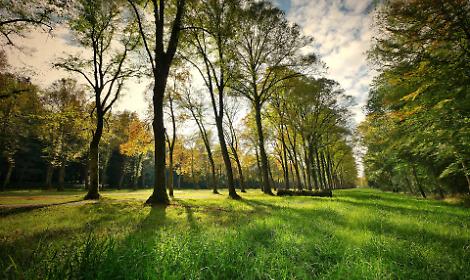 Venezia, Terraglio Nord: approvata la variante urbanistica per nuove aree verdi e standard pubblici