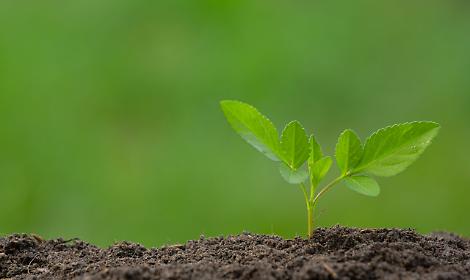 Polo logistico tra Dolo e Mirano, Legambiente alza la voce con osservazioni all&rsquo;Accordo di Programma