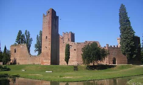 Un'aula nel verde: Noale investe su alberi e didattica ambientale