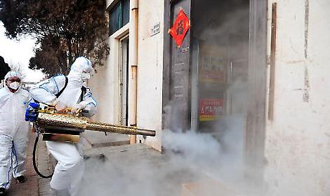 Rovigo lancia una disinfestazione straordinaria contro la zanzara tigre