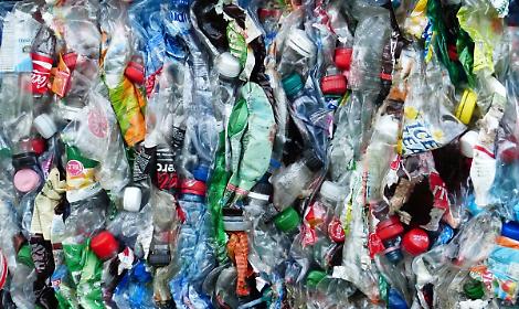 Plastic Free torna sul Po: volontari in campo per ripulire gli argini