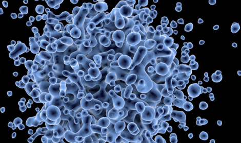 Tezze di Piave: &ldquo;Gli Sconcertati&rdquo; in concerto per la donazione di cellule staminali