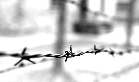 Adria celebra la Giornata della Memoria con due eventi speciali