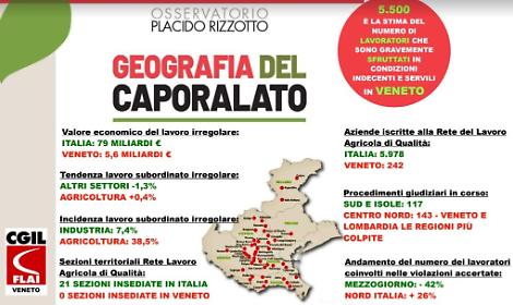 La Regione rilancia Common Ground: oltre 3,5 milioni per aiutare le vittime di sfruttamento lavorativo in Veneto
