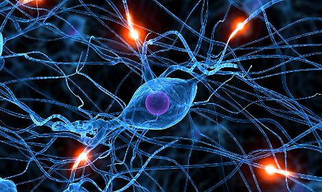 Guardia di Finanza Treviso: raccolta fondi natalizia a sostegno dei Parkinsoniani