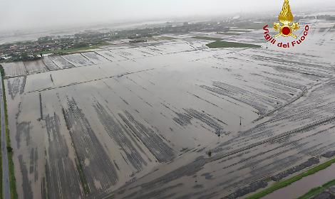 Coldiretti : &ldquo;danni gravissimi a decine di aziende agricole, su 1000 ettari&rdquo;