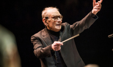 Tra Ville e Giardini: l'incanto del Polesine: un viaggio tra musica, teatro e circo nel cuore del Polesine, tra storia, natura e un tocco femminile.