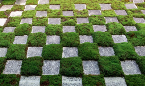 Giornata ecologica regionale 2026: al centro le api, custodi della biodiversit&agrave;