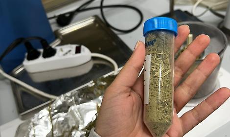 Area di Gesia, si attendono i responsi dei laboratori campani