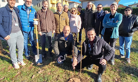 &ldquo;Bassano Verde&rdquo;: al via il progetto di riforestazione urbana con cinque nuove foreste in citt&agrave;