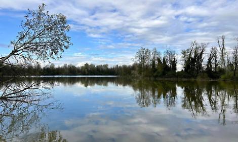 Scintille a Martellago per i 40 anni del Parco Laghetti. La mostra di AcqueNove accende un acceso dibattito