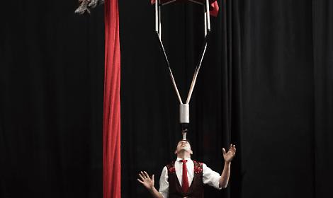 Christmas al TOP al Teatro al Parco di Mestre: magia, circo e divertimento per tutta la famiglia