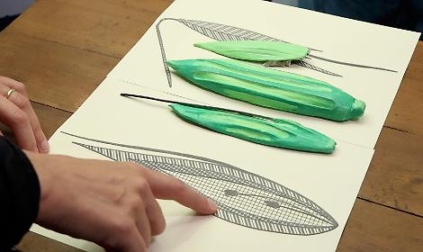 Foto dell'iniziativa