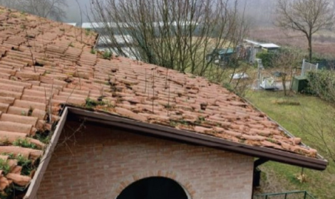 Vicenza, il tetto del canile di Gogna sar&agrave; rifatto: stanziati 75 mila euro