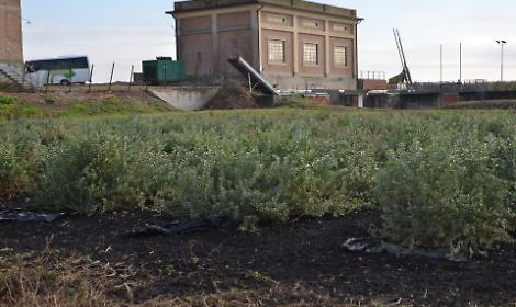 Il Consorzio Adige Euganeo e l&rsquo;Universit&agrave; di Padova rafforzano la collaborazione