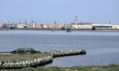 Porti di Venezia e Chioggia, traffici in crescita nel 2025: superati i 500 mila Teu
