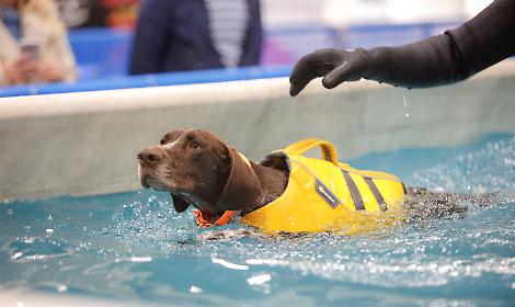 Quattrozampeinfiera arriva a Padova: un weekend di sport, divertimento e solidariet&agrave; per cani e gatti