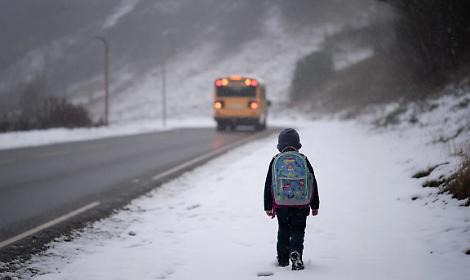 Foto di repertorio generata con IA