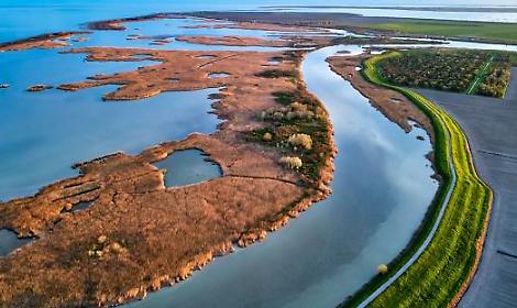 Verdi e Sinistra chiedono un cambio al vertice del Parco del Delta del Po per proteggere ambiente e comunit&agrave; locali