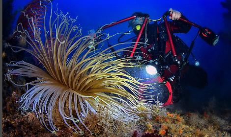 Inaugurazione della mostra di Francesco Turano al Club Sommozzatori Padova
