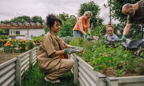 Trento, al via il nuovo patto di collaborazione per l'Orto Aperto in Clarina: cittadini e associazioni coinvolti