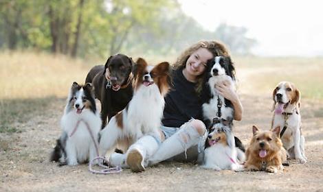 Abano Terme, in arrivo un&rsquo;area di sgambamento per cani al Parco di via degli Olmi