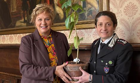 Belluno riceve l&rsquo;Albero di Falcone, simbolo di legalit&agrave; e memoria