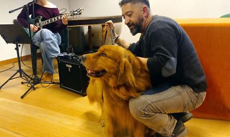 Vigonovo celebra la storia del golden retriever cieco