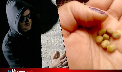 Pordenone, furto surreale: ladri rubano &ldquo;pepites d&rsquo;oro&rdquo; ma erano calcoli renali