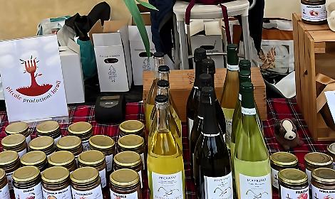 Bottrighe, parte il mercatino dell'hobbystica