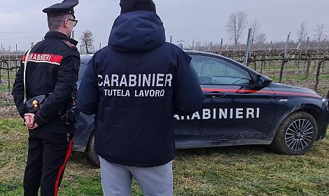 Blitz dei Carabinieri del NIL in provincia di Treviso: quattro attivit&agrave; sospese e sanzioni per 250mila euro