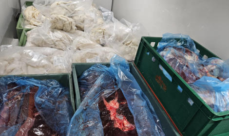 Trasporto irregolare di carne bovina a Padova, denunciato 56enne