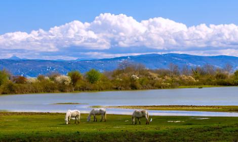 Padova, al Club Sommozzatori apre la mostra fotografica &ldquo;Orizzonti liquidi&rdquo;