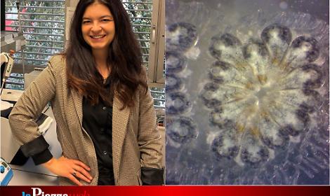 Chiara Anselmi, ricercatrice a Padova