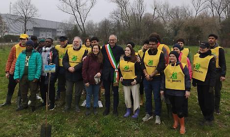 Mirano pianta il futuro: 954 nuovi alberi tra giardini privati e Parco Falcone