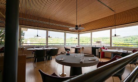 L&rsquo;impronta del gusto: La Peca di Lonigo e l&rsquo;arte dei Fratelli Portinari