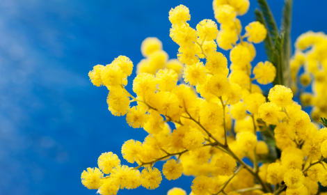 Una serata di musica per celebrare il talento e la creativit&agrave; delle donne