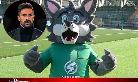 Il Padova nella tana dei lupi: alta tensione ad Avellino