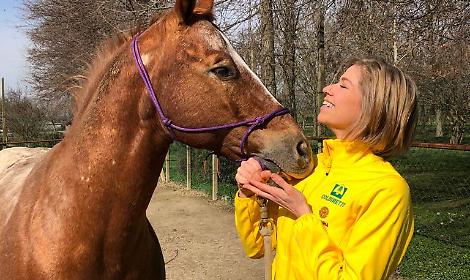 Paralimpiadi, a Casa Veneto l&rsquo;agricoltura sociale di Coldiretti