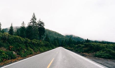 Incendio vicino all&rsquo;A22 a Trento: alta colonna di fumo visibile dalla tangenziale