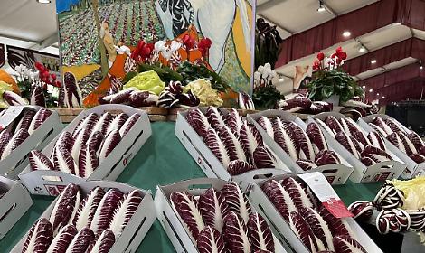 Miranese. Pro Loco attivit&agrave; a rischio