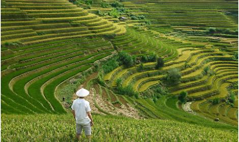 Sicurezza e competenza: al via la seconda edizione del corso per le imprese agricole del Trentino