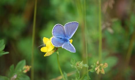 Un milione di euro per il paesaggio del Polesine