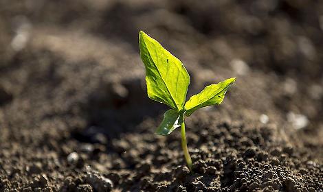 Padova, mattina ecologica alla Stanga: raccolti rifiuti in via Venezia e via della Croce Rossa